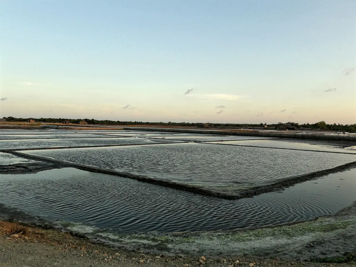 Salzfelder bei Ly Nhon